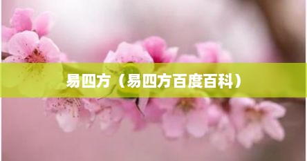 易四方（易四方百度百科）