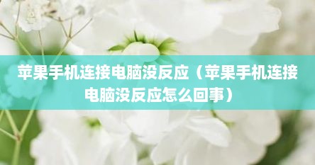 苹果手机连接电脑没反应（苹果手机连接电脑没反应怎么回事）