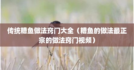 传统糟鱼做法窍门大全（糟鱼的做法最正宗的做法窍门视频）