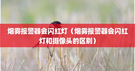 烟雾报警器会闪红灯（烟雾报警器会闪红灯和摄像头的区别）