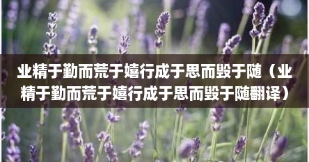 业精于勤而荒于嬉行成于思而毁于随（业精于勤而荒于嬉行成于思而毁于随翻译）