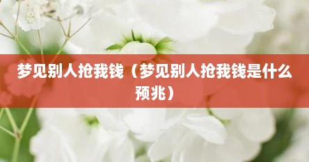 梦见别人抢我钱（梦见别人抢我钱是什么预兆）