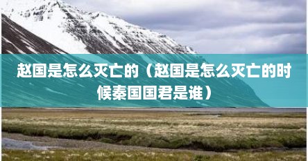 赵国是怎么灭亡的（赵国是怎么灭亡的时候秦国国君是谁）