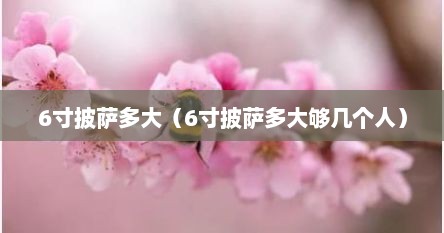 6寸披萨多大（6寸披萨多大够几个人）