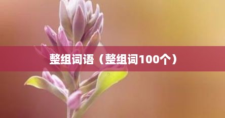 整组词语（整组词100个）