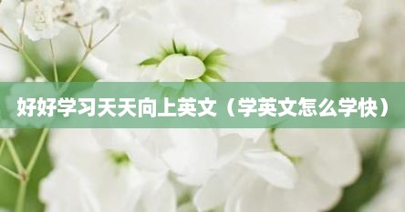 好好学习天天向上英文（学英文怎么学快）