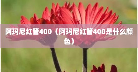 阿玛尼红管400（阿玛尼红管400是什么颜色）