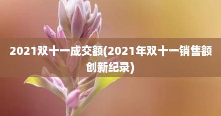 2021双十一成交额(2021年双十一销售额创新纪录)