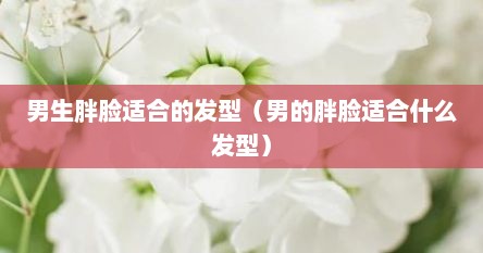 男生胖脸适合的发型（男的胖脸适合什么发型）