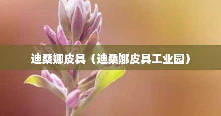 迪桑娜皮具（迪桑娜皮具工业园）