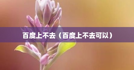 百度上不去（百度上不去可以）