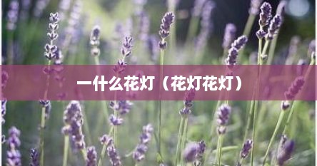 一什么花灯（花灯花灯）