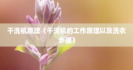 干洗机原理（干洗机的工作原理以及洗衣步骤）