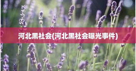 河北黑社会(河北黑社会曝光事件)