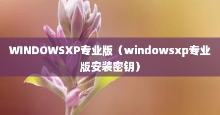 WINDOWSXP专业版（windowsxp专业版安装密钥）