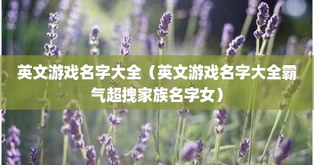 英文游戏名字大全（英文游戏名字大全霸气超拽家族名字女）