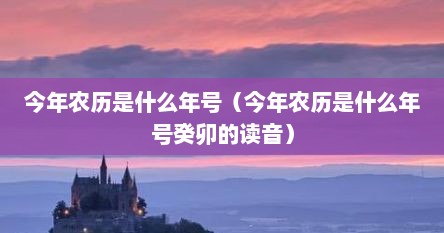 今年农历是什么年号（今年农历是什么年号癸卯的读音）