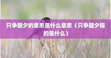 只争朝夕的意思是什么意思（只争朝夕指的是什么）