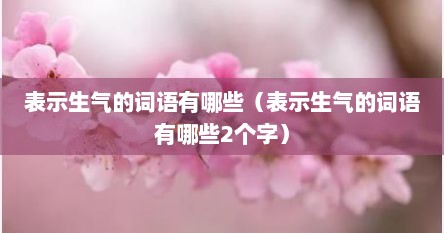 表示生气的词语有哪些（表示生气的词语有哪些2个字）