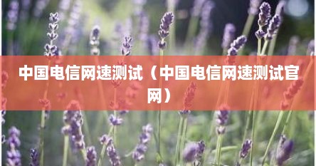 中国电信网速测试（中国电信网速测试官网）