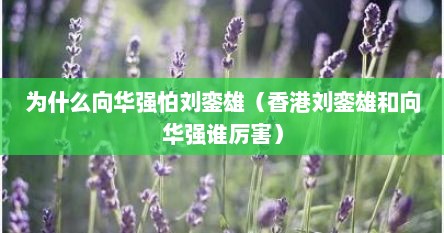 为什么向华强怕刘銮雄（香港刘銮雄和向华强谁厉害）