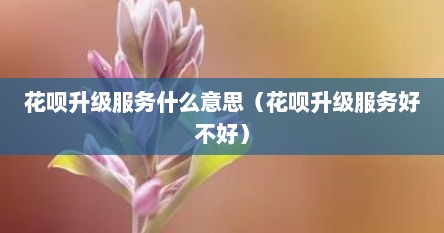 花呗升级服务什么意思（花呗升级服务好不好）