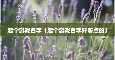 起个游戏名字（起个游戏名字好听点的）