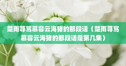 楚雨荨骂慕容云海猪的那段话（楚雨荨骂慕容云海猪的那段话是第几集）