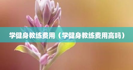 学健身教练费用（学健身教练费用高吗）