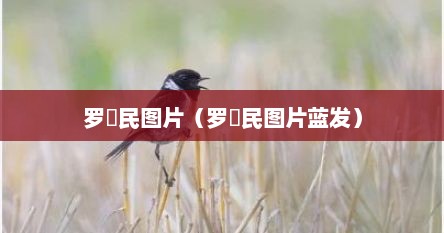 罗渽民图片（罗渽民图片蓝发）