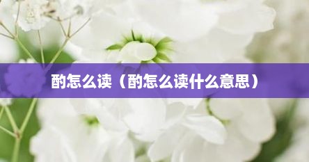 酌怎么读（酌怎么读什么意思）