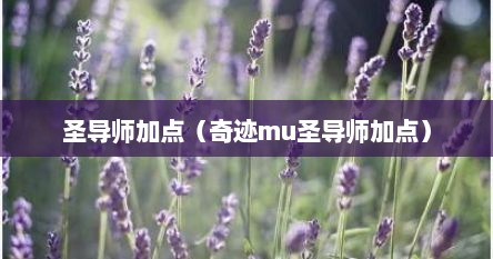 圣导师加点（奇迹mu圣导师加点）