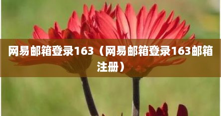 网易邮箱登录163（网易邮箱登录163邮箱注册）