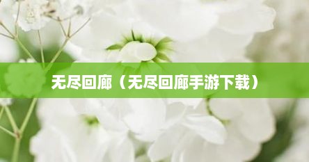 无尽回廊（无尽回廊手游下载）