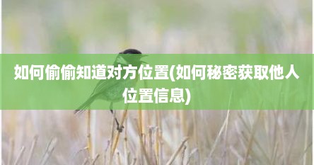 如何偷偷知道对方位置(如何秘密获取他人位置信息)