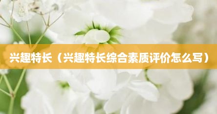 兴趣特长（兴趣特长综合素质评价怎么写）