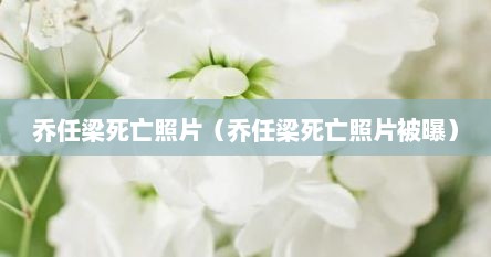 乔任梁死亡照片（乔任梁死亡照片被曝）