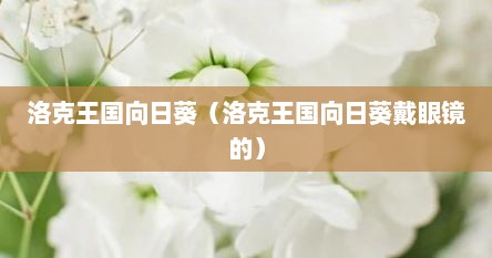 洛克王国向日葵（洛克王国向日葵戴眼镜的）