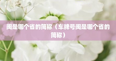 闽是哪个省的简称（车牌号闽是哪个省的简称）