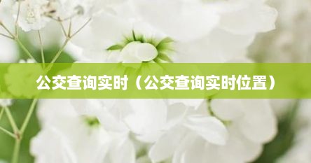 公交查询实时（公交查询实时位置）