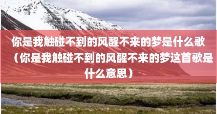 你是我触碰不到的风醒不来的梦是什么歌（你是我触碰不到的风醒不来的梦这首歌是什么意思）