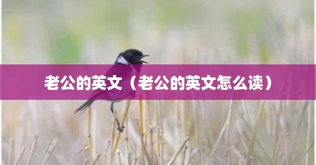 老公的英文（老公的英文怎么读）