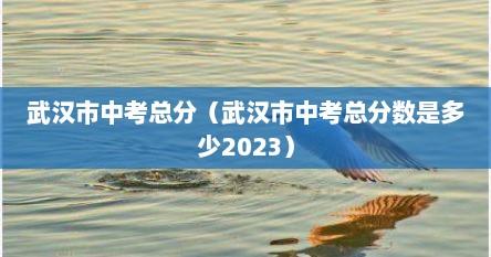 武汉市中考总分（武汉市中考总分数是多少2023）