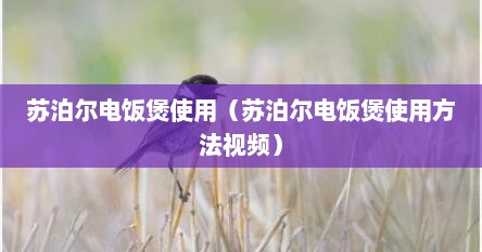 苏泊尔电饭煲使用（苏泊尔电饭煲使用方法视频）