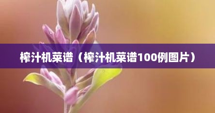 榨汁机菜谱（榨汁机菜谱100例图片）