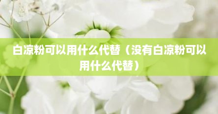 白凉粉可以用什么代替（没有白凉粉可以用什么代替）