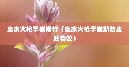 皇家火枪手崔斯特（皇家火枪手崔斯特皮肤特效）