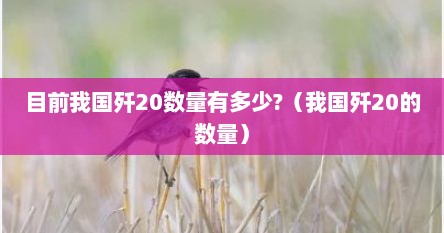 目前我国歼20数量有多少?（我国歼20的数量）