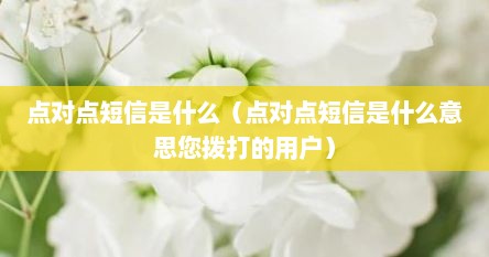 点对点短信是什么（点对点短信是什么意思您拨打的用户）