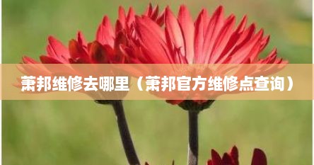 萧邦维修去哪里（萧邦官方维修点查询）